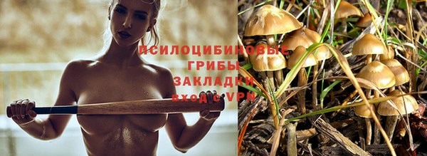 гидропоника Алексин
