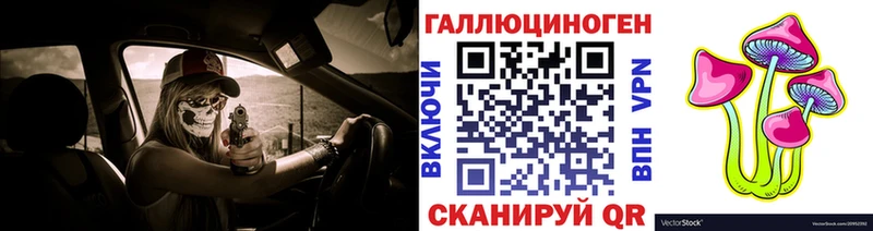 Галлюциногенные грибы Psilocybe  Юрьевец 