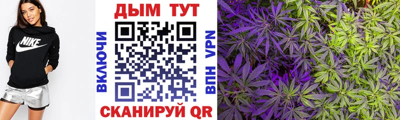 Шишки марихуана OG Kush  как найти   Юрьевец 